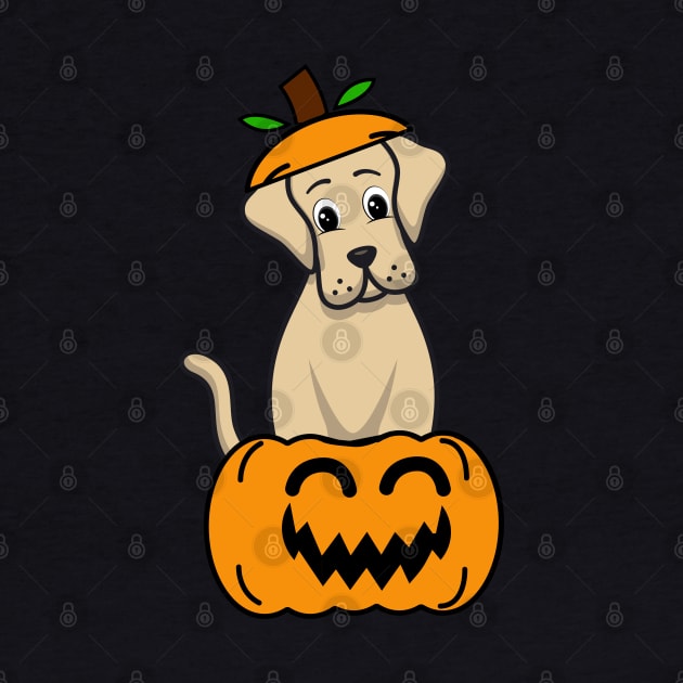 Funny Big Dog is in a pumpkin by Pet Station